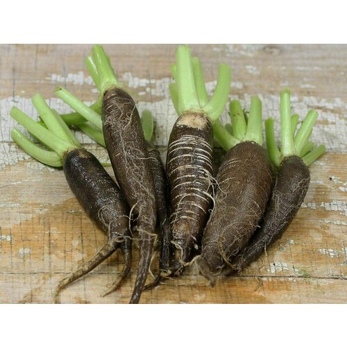 ���������� ������ �������� � �������� ������ � ��������� ����������, ������ ���������, ����� ��������, 110 �����