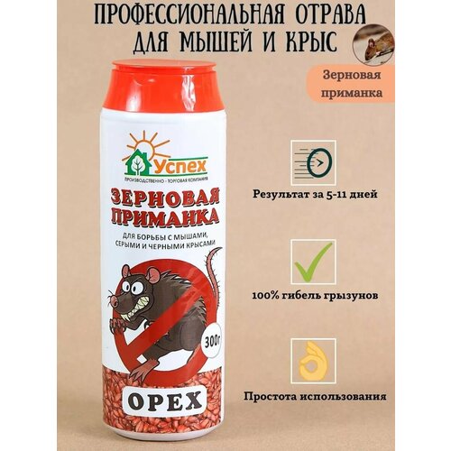 ���������� ������ ������ �� ����� � ����, ����