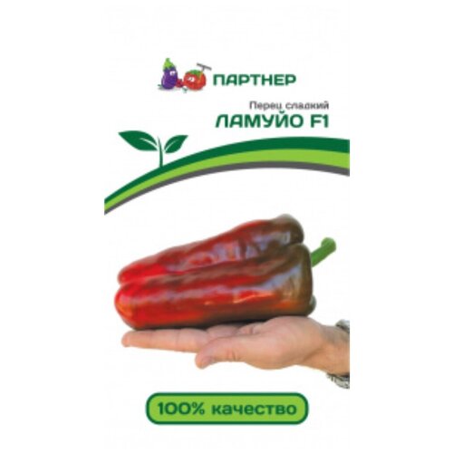 ���������� ������ ����� ������� 