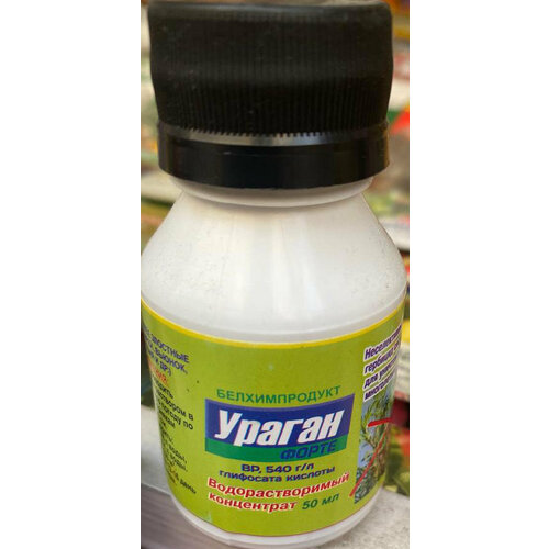 ���������� �������� �� �������� (2 ��.) ������ ����� BP, 540 �/� ��������� ������� 50 ��. (��������������� ����������)