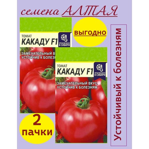 ���������� ������ ����� ������ ������ ����� (2 ��������* 15 �� �����)