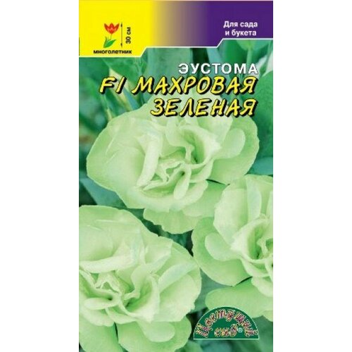 ���������� ������ ������� �������� ������� F1 5�� �� (�������� ���)