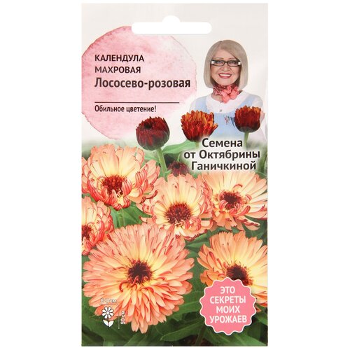 ���������� ��������� ��������-������� �������� 0,3 � / ������ ���������� ������ ��� ����