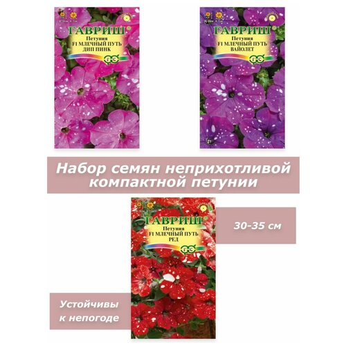 ���������� ������ ������ ��� ���� �������