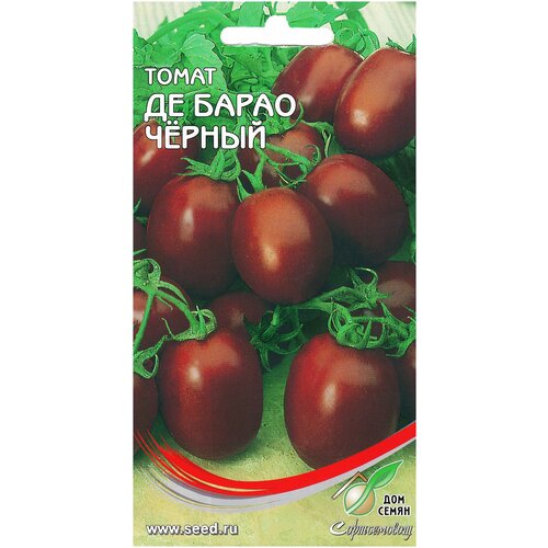 ���������� ����� ��- ����� ������, 15 �����