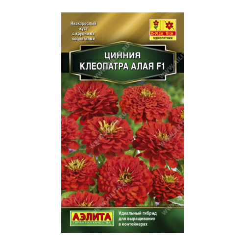 ���������� ������ ������ ��������� F1 ���� 12�� ��� 30�� (������)