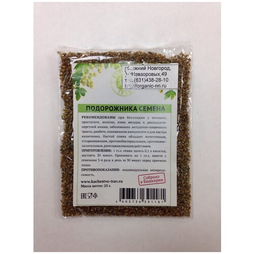 ,  25   (. Plantago)   , -, 