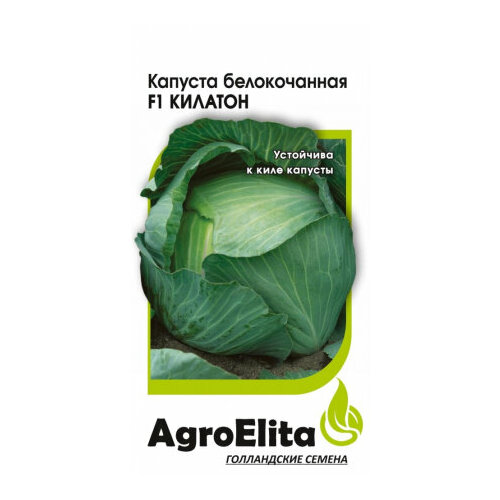 ���������� ������ ������� ������������ ������� F1 10�� (���������) ���������