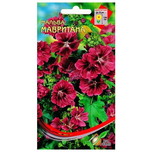 ���������� ������ ����������� ���������, 18 �����