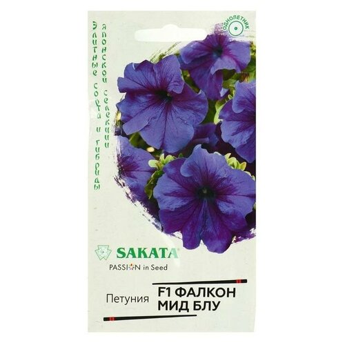 ���������� ������ ������ ������� 