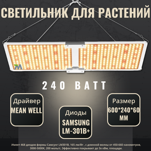    SL 2000 quantum board, 468  Samsung LM-301B   , -, 