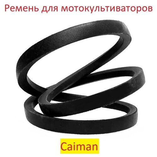      CAIMAN ELITE 60S D2, 0306030002, 0306030058.   , -, 