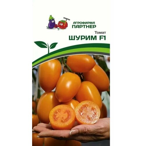 ���������� ����� ����� F1 ������ ������� (1 ��������-10 �� �����)