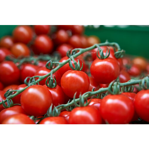 ���������� ������������� ������ ������ ��������