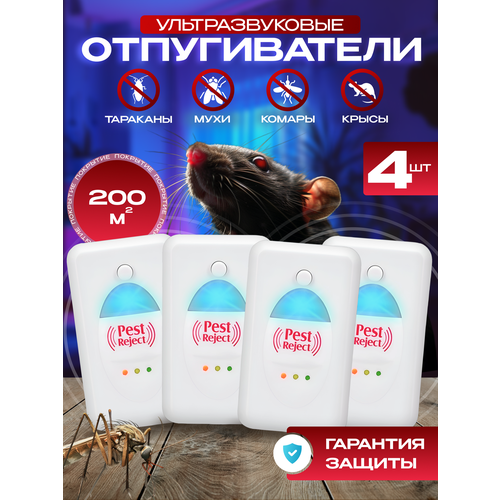 ���������� ������������ ����� ��������������