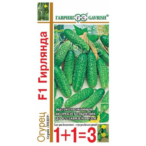 ���������� ������ ������ �������� F1 20�� ������������������ ������ (������) 1+1