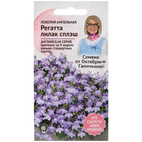 ���������� ������� ������� ����� ����� 10 �� / ������ ���������� ������