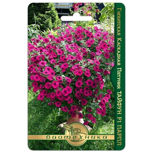 ���������� ������ ������� ���������� ��������� 