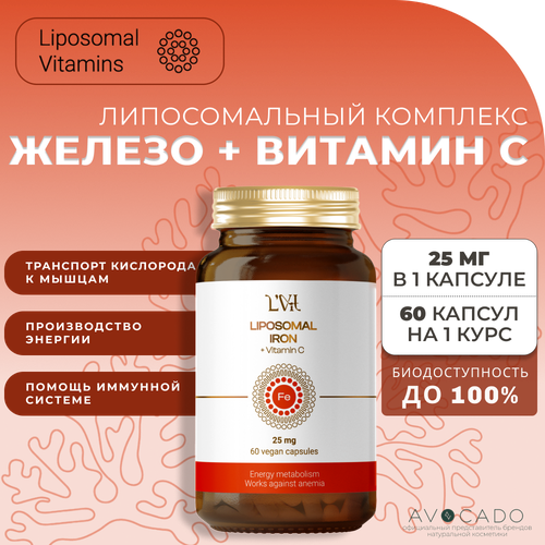 Liposomal Vitamins    +  C, 60    , -, 