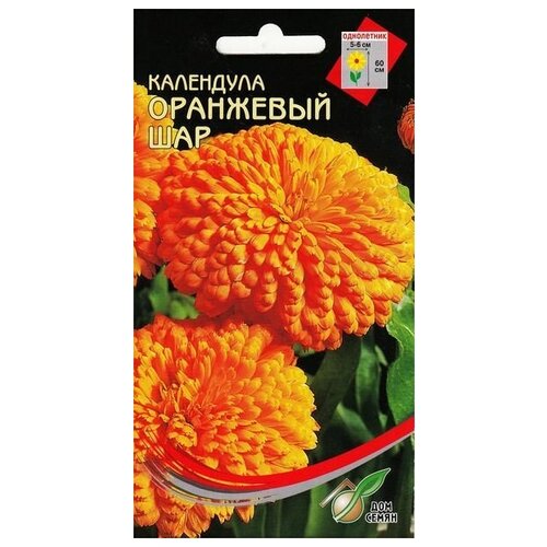 ���������� ��������� ��������� ���, 20 �����