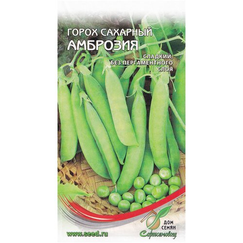 ���������� ����� ������� �������� ��������, 50 �����