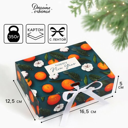 ���������� ������� ���������� �������, 16.5 � 12.5 � 5 ��, ����� ���