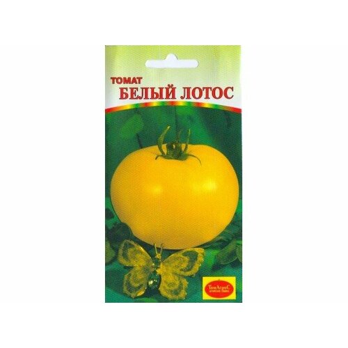 ���������� ������ ����� ����� (����� �����) 10�� ����� ������ (�����)