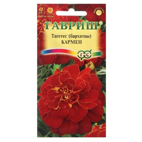 ���������� ������ ������ �������� ����������� (�������) 