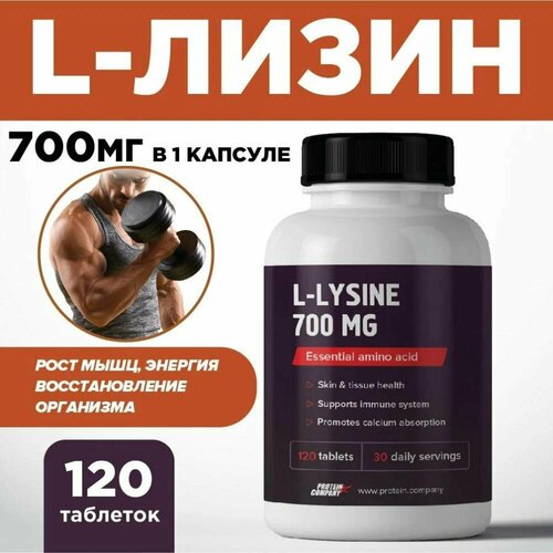  700 .    .    , ,  .  . l-lysine, 120 ,     , -, 