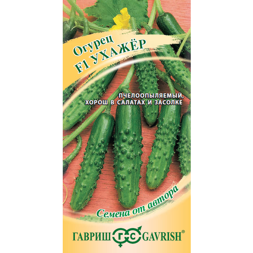 ���������� ������ ������ ������ F1 10�� �� (������) �����