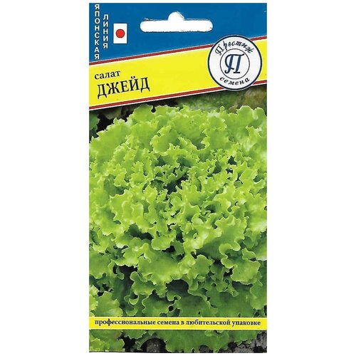 ���������� ����� �����. ������. ����� ������ ��������� � ���������� ����-������� ������, ���������� �������, ��������������� ������, �������� ������