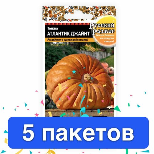 ���������� ������ ������ ������� ������ 