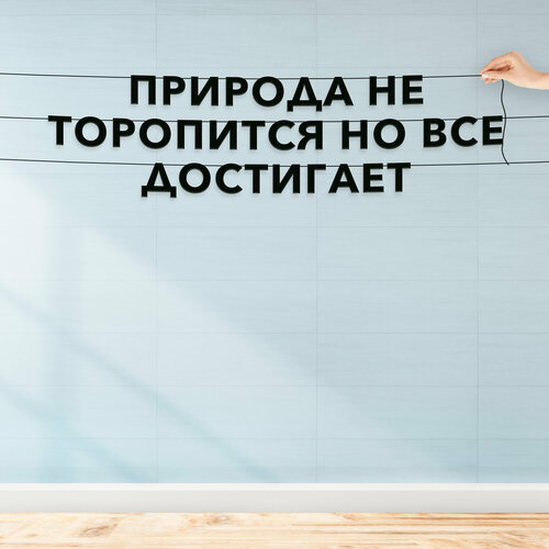 ���������� �������� �������� �� �����, ������ �������� �� ����� - �������� �� ���������, �� ��� ���������, �������� ���������.