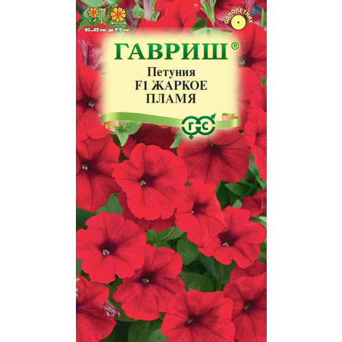 ���������� ������ ������� ������ ����� �������������� 7�� ��� 35�� (������) ������� ������