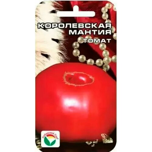 ���������� ������ ����� ����������� ������ 20�� ����� (��������� ���)