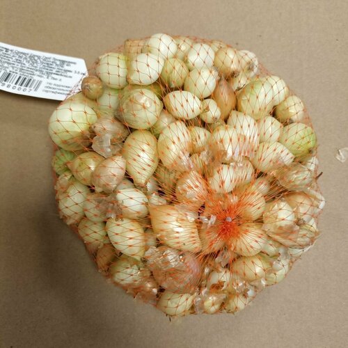 ���������� ��� - ����� ������ ������ ����� ���� (������) 100�� �������