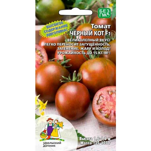 ���������� ������ ����� ������ ��� F1 12�� ����� ������ (��������� ������)