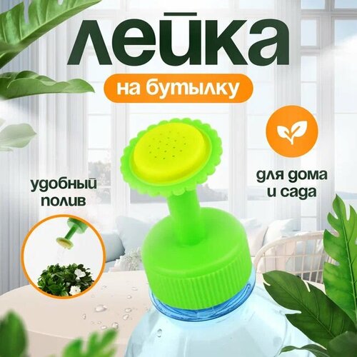 ���������� ������� ����� ��� ������, �������, ������� �� ������� 