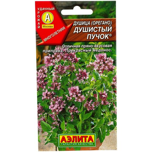 ���������� ������. ������ ������������ 