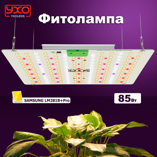 ���������� Quantum Board 85 ���� / Samsung LM281B+Pro / ��������� ��� �������� /������������ �������