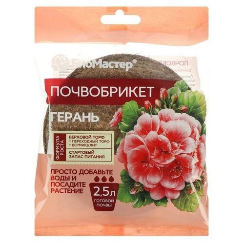 ���������� ����������� 