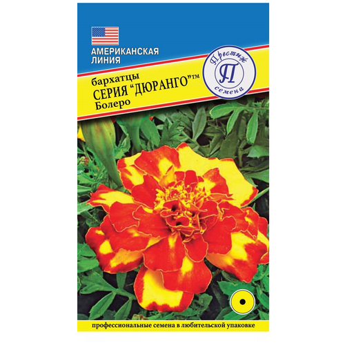 ���������� ������ /������� ������ /������ ������ �������� ������� ������