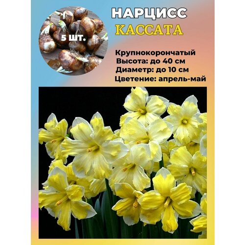 ���������� ������� ��������, �������� 5 ����