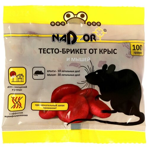 ���������� �����-������ �� ���� � ����� NADZOR, 100 ��