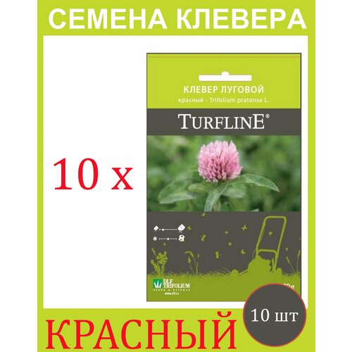        Trifolium Protense L TURFLINE DLF 500  (50 . - 10 )   , -, 