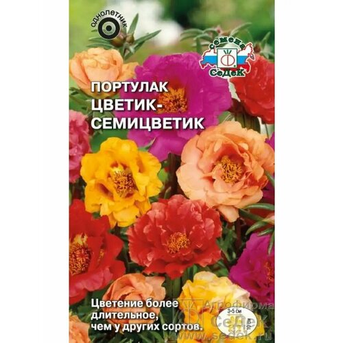 ���������� �������� 