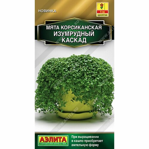 ���������� ������ ���� ���������� ������, ������������ (������) 3�� ������� �����