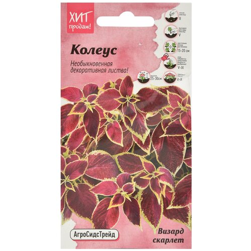 ���������� ������ ������ ������� 10 �� ��� / ������ ������ ����������� ��� ���� � ������� � ����� / �������������