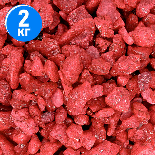 ���������� ����������� ����� ��� ��������, ����������� � ��������, Zoo One, ��������� ��������, 