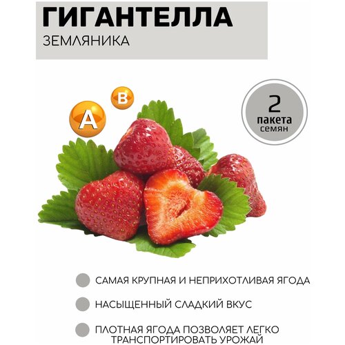 ���������� ��������� (��������) ���������� 2 ������ �� 10�� �����